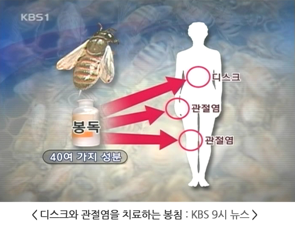 KBS 9시뉴스 화면
