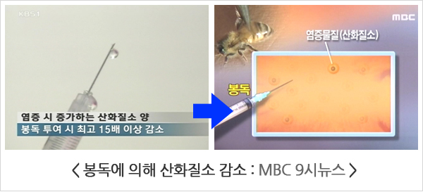 MBC 9시뉴스 화면